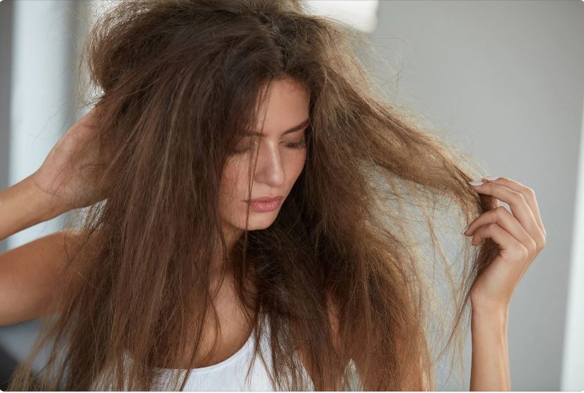 shampooing-cheveux-sec-abime